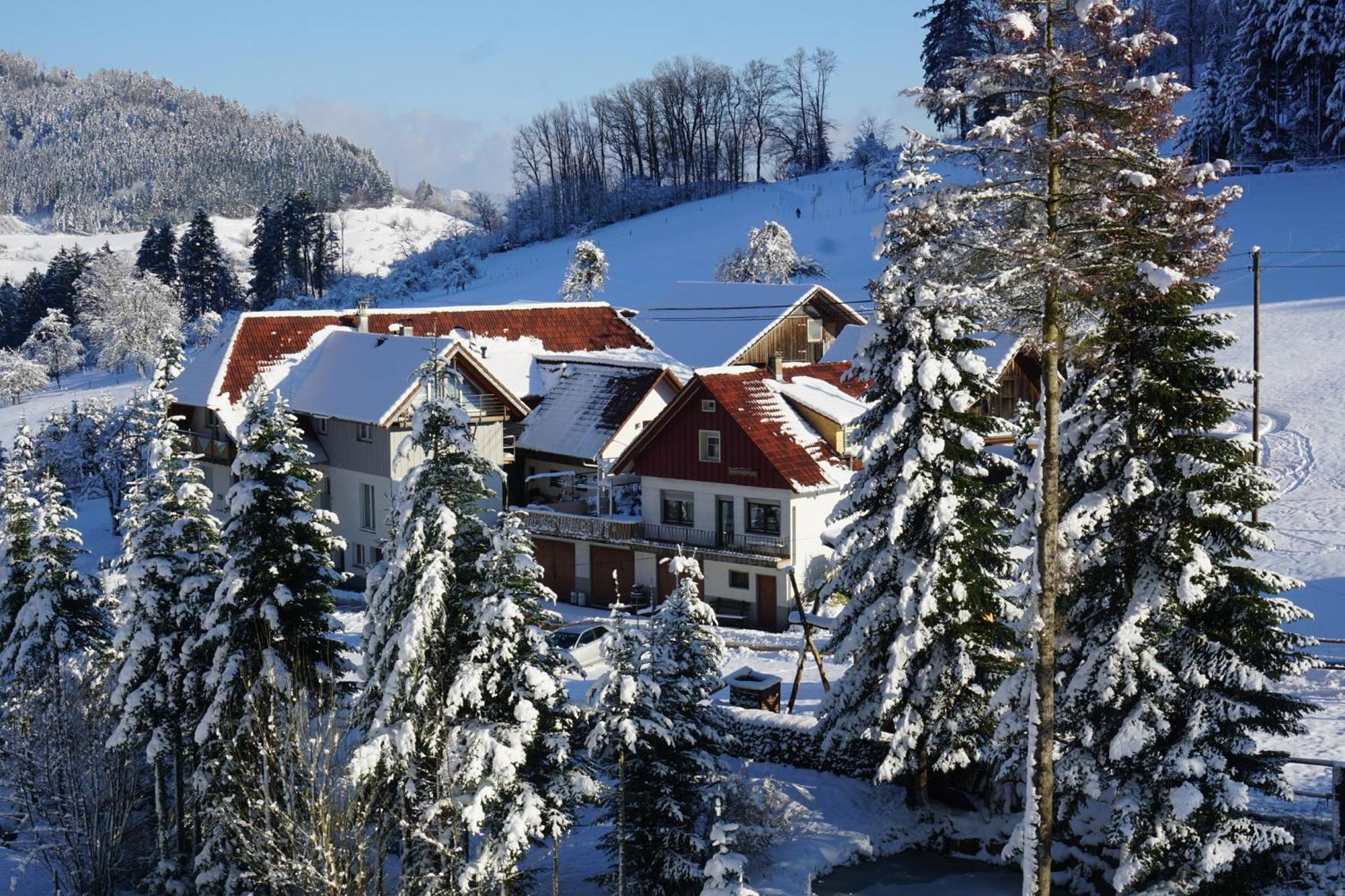 Вілла Muellerleile Hof Гаслах-ім-Кінціґталь Екстер'єр фото